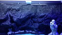 Aquarium Vulcano Reef