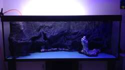 Aquarium Vulcano Reef