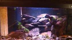 Hauptansicht mit Rückwand