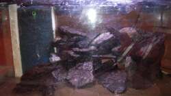 Aquarium My Lake Matano--existiert so nicht mehr