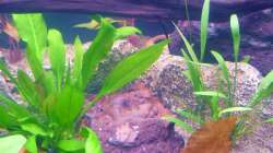 Terrasse - Lavastein mittlerweile entfernt