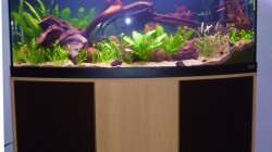 Komplettaquarium mit Unterschrank - November 2012