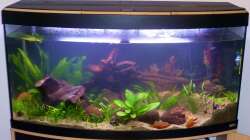 gebogene Scheibe - November 2012