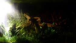 Beleuchtung LED-Strahler Belichtungszeit 15s