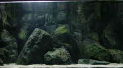 Aquarium Becken 245
