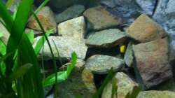 Rechte Seite vom Becken