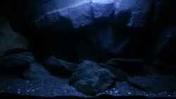 Aquarium Dark Cave of Masala Island