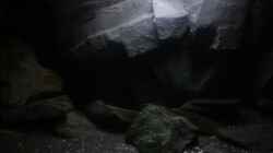 Aquarium Dark Cave of Masala Island