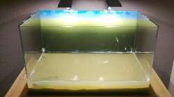 Ein wenig Wasser zum Anfang um den Sand zu ´entlüften´