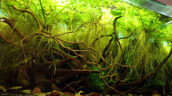 Becken am 05.04.2013