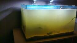 Alles drin und Becken dicht :) Schöne Suppe