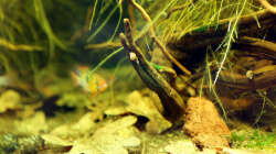 Becken am 05.04.2013