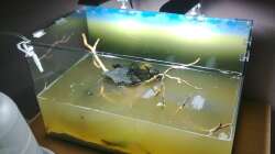 Wurzeln rein und weiter befüllen.