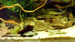 Becken am 05.04.2013