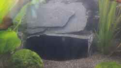 große Höhle aus schwarzen Schiefersteinen (verklebt), hinter der aufrechten Platte