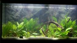 Am Tag nach dem Start (2.12.2012) Einlaufphase