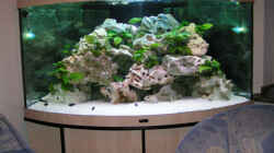 Aquarium Becken 2495