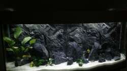 Aquarium Aquael panorama Becken