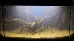 Nach 90% Wasserwechsel