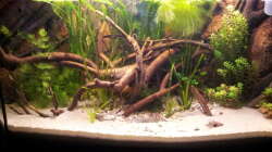 Nach der Einlaufzeit und und ein paar Veränderungen