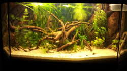 Aquarium Rustikale Eckgestaltung...nur noch Beispiel