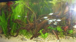 Nach der Umgestaltung 29.12.12