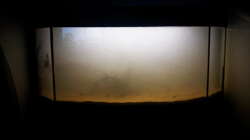 Das erste Wasser O.o