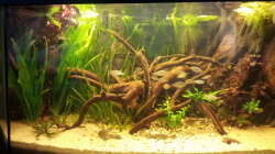 Nach der Umgestaltung 29.12.12