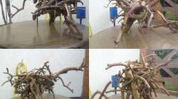 Begutachtung und Begeisterung :)