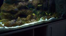Aquarium Malawi ... nur noch als Beispiel