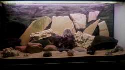 Deko noch ohne Wasser