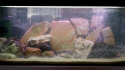 Aquarium 160 L Aufzuchts und Quarantänebecken