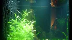 2012-12-31 von links