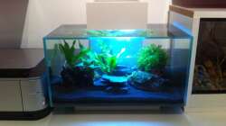 einen Tag nach der Ersteinrichtung