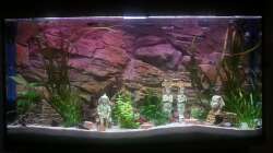 13.01.13 sah es noch so aus