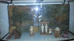 Rückwand und Deko sind da