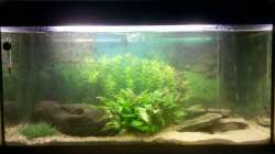 Gesamtansicht 24.01.2013