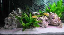 Linke Seite des Aquariums