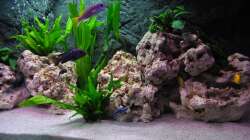 Becken von der Seite