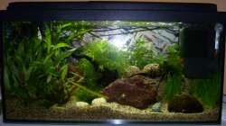 noch mit zusätzlichem Eheimfilter