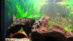 linke Seite (11.1.2013)