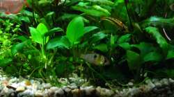 zwei Mädels (9.1.2013)