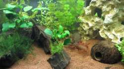 Garra Flavatra 06 - Wo bin ich?