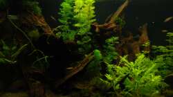 03.03.13 ~ linke Beckenseite