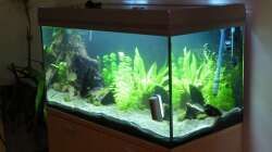 31.01.13 ~ Endlich mit Abdeckung.