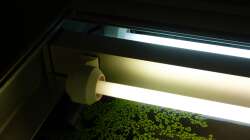 31.01.13 ~ vorne 865 / hinten 840