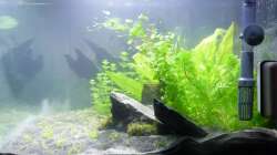 22.01.13 ~ Querseite