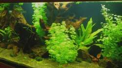 16.02.13 ~ Gesamtansicht