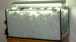 17.01.13 ~ ... bis selbst die letzten Spitzen der Alpen nicht mehr zu sehen sind.