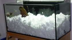 17.01.13 ~ Langsam verschwindet der Amazonas im Schnee...